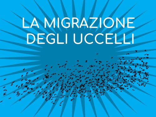 Book Creator | la migrazione degli uccelli