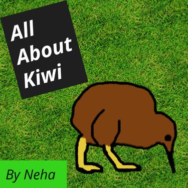 All About Kiwis