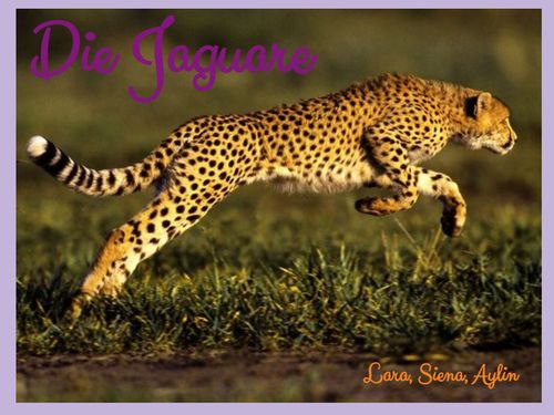 Die Jaguare