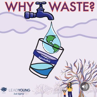 Why Waste?