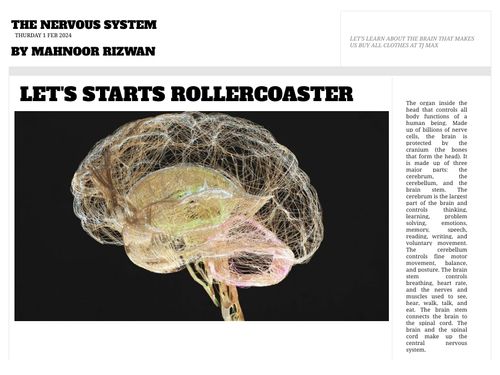 Book Creator | NERVOUS SYSTEM