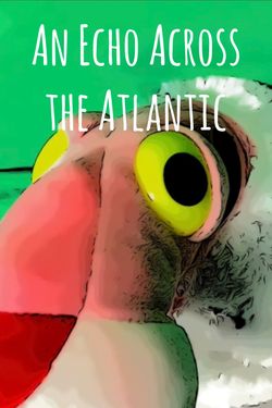 An Echo Across The Atlantic 