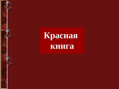Book Creator | Красная книга