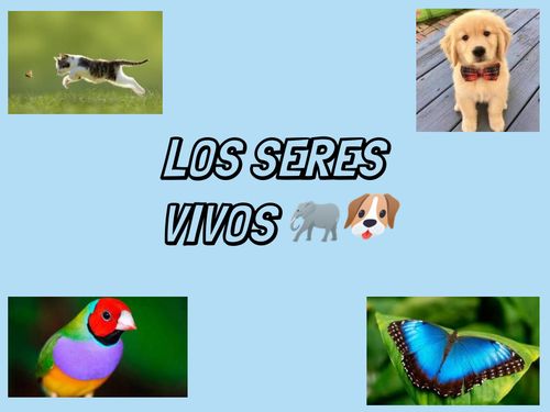 LOS SERES VIVOS