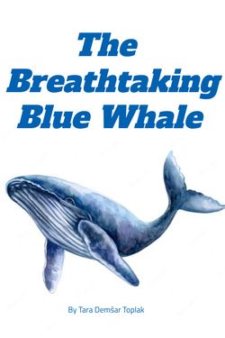 Book Creator | The Breathtaking Blue Whales