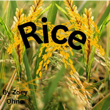 Book Creator | Rice