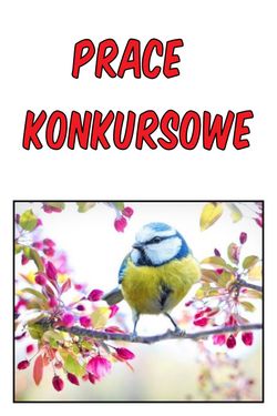 Wiosna w obiektywie