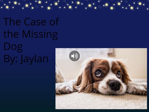 The Case of the Missing Dog