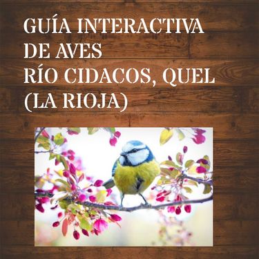 GUÍA DE AVES