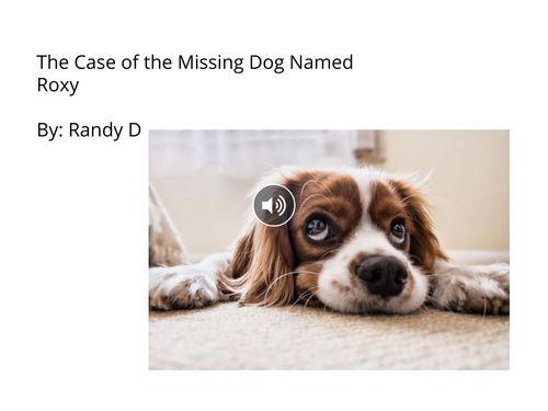 The Case of the Missing Puppy Named Roxy