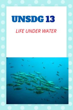 Book Creator | UNSDG - LIFE UNDER WATER