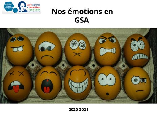 Nos émotions GSA