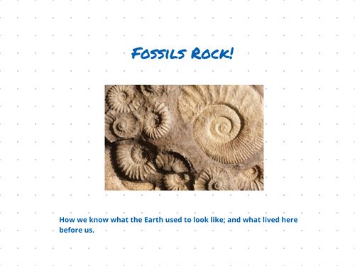 Book Creator | Fossils Rock!