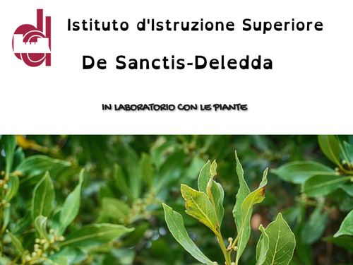 In laboratorio con le piante