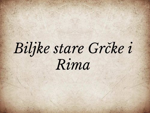 Biljke stare Grke i Rima