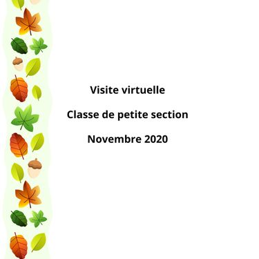 visite virtuelle novembre 2020