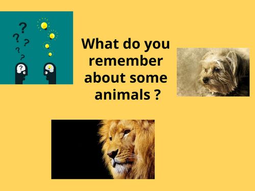 Book Creator | Little encyclopedia