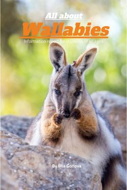 All About Wallabies
