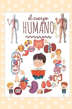 EL CUERPO HUMANO