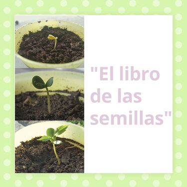 "El libro de las semillas"