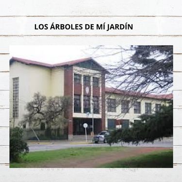 EL LIBRO DE LOS ÁRBOLES