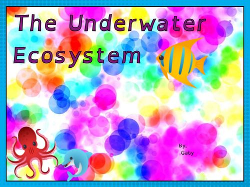 Book Creator | The Underwater Ecosystem