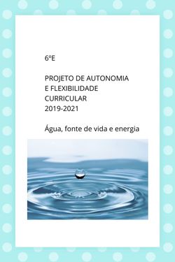 6ºE Projeto AutonomiaFlexibilidade Curricular