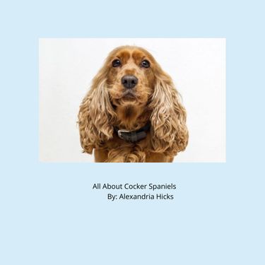Book Creator | All About Cocker Spaniels