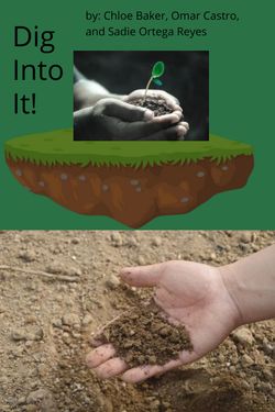 Book Creator | Dig Into It!