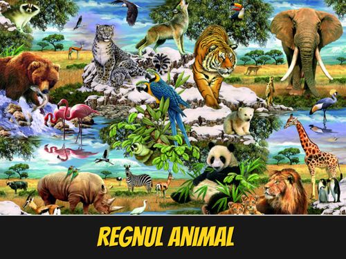 Book Creator | Grupele de animale