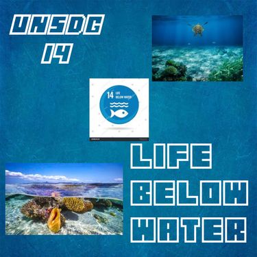 Book Creator | Life Under Water