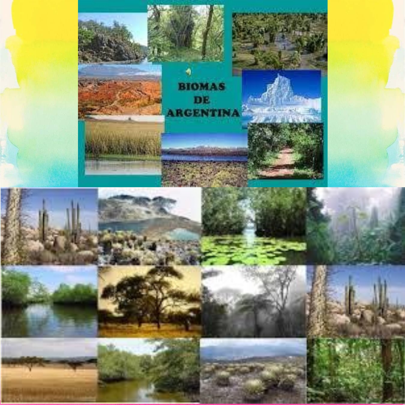 Book Creator - Los Biomas de Argentina