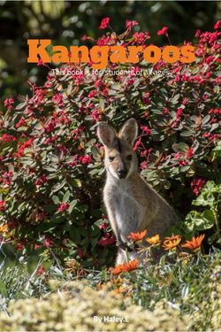 Kangaroos
