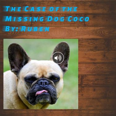 The Case of the Missing Dog Named Coca