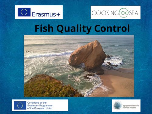 Fish Quality Control