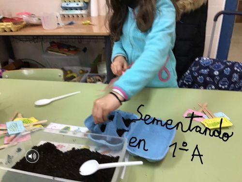 Sementando en 1º A