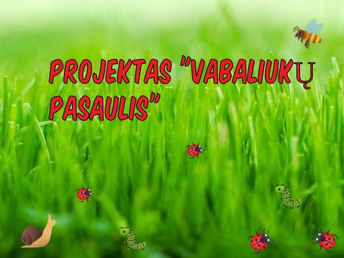 Projektas "Vabaliukų pasaulis"