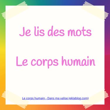 Je lis des mots le corps humain