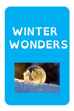 Winter Wonders