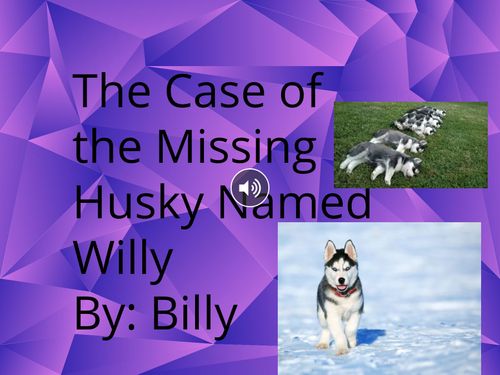 The Case of the Missing Husky Named Willy