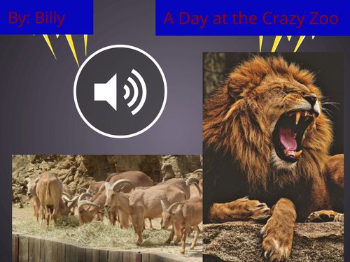 A Day at the Crazy Zoo