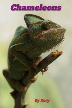 Chameleons