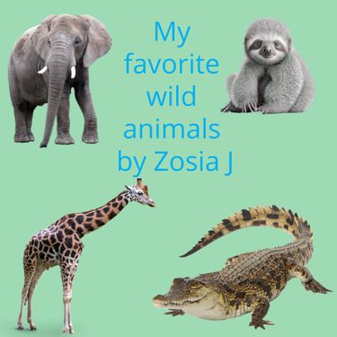 Animal book