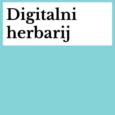 herbarij