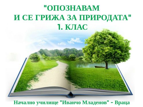 Проектни дейности 1.клас