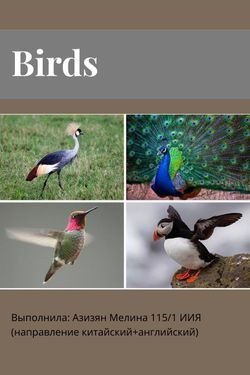 Book Creator | Birds