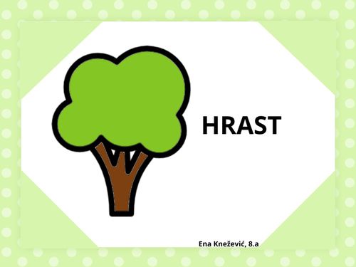 Book Creator | Hrast