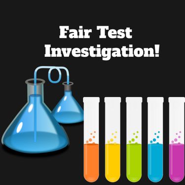 Book Creator | Fair test Investigation!