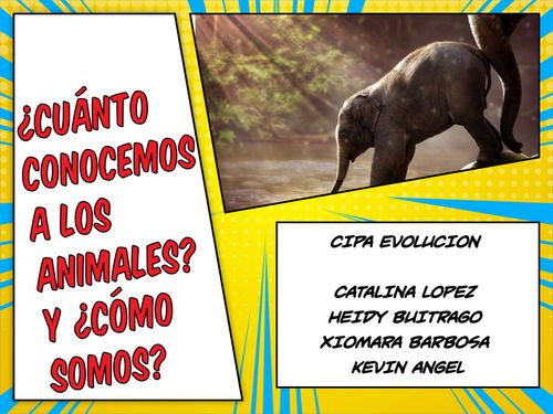 Book Creator | CLASIFICACION DE LOS ANIMALES