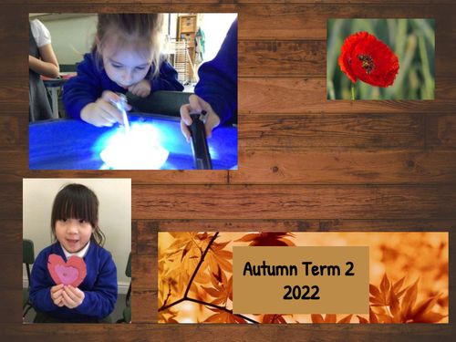 (copy)  Autumn Term 2